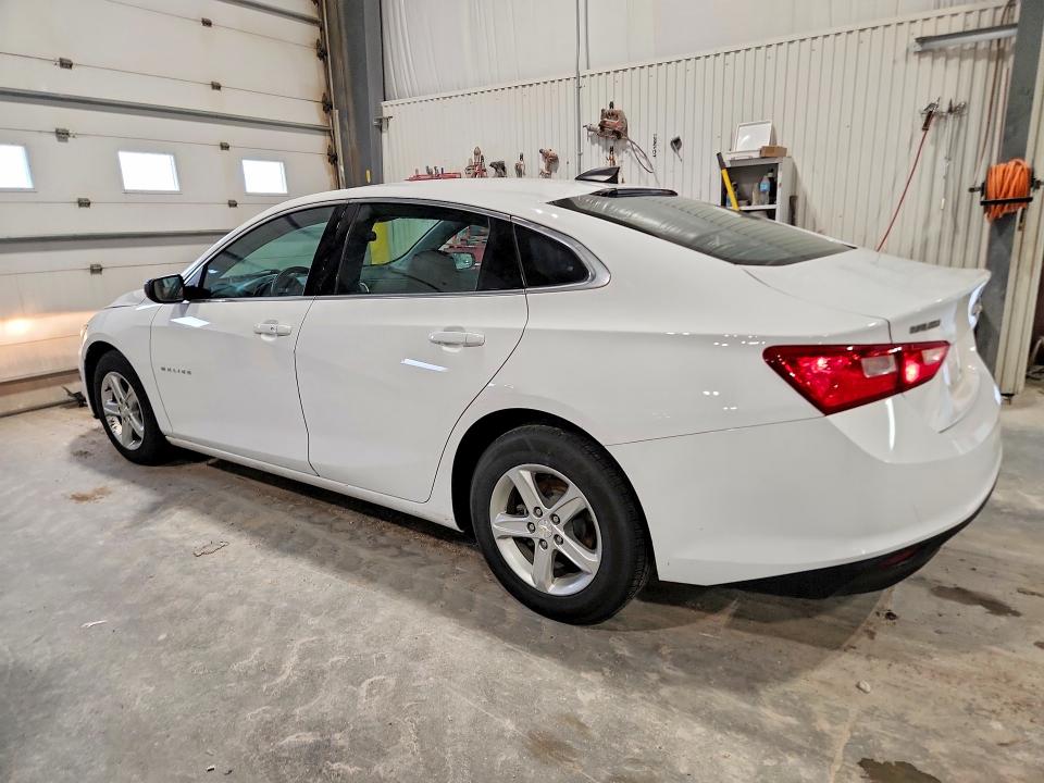 51109556 :رقم المزاد ، 1G1ZC5ST4KF195807 vin ، 2019 Chevrolet Malibu مزاد بيع