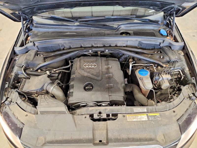 50723406 :رقم المزاد ، WA1CFAFP8DA059796 vin ، 2013 Audi Q5 مزاد بيع