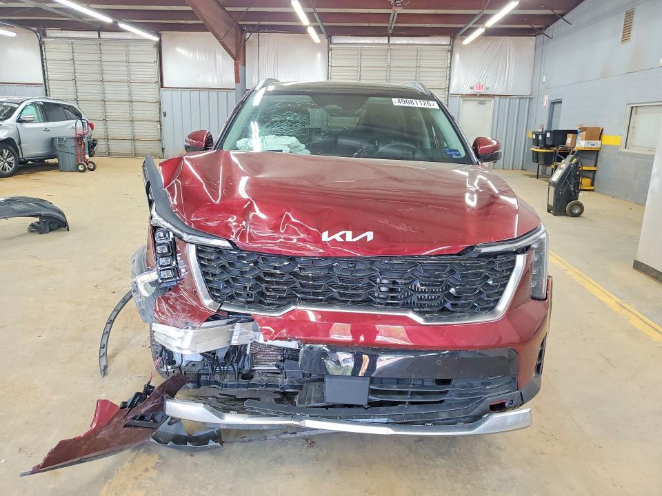 Продаж на аукціоні авто 2024 Kia Sorento, vin: 5XYRK4JF9RG260545, номер лоту: 49081126