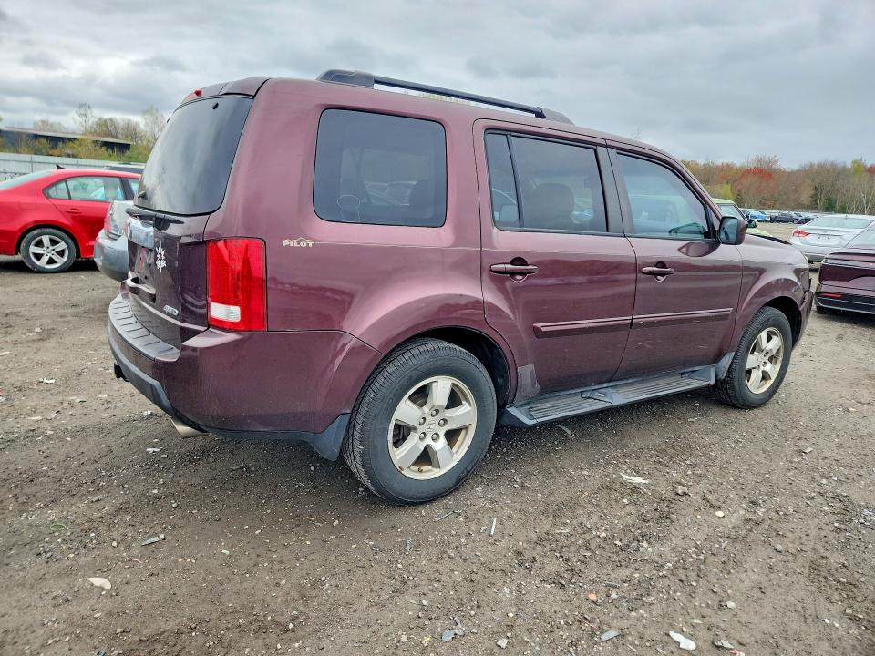 52037566 :رقم المزاد ، 5FNYF4H51BB096993 vin ، 2011 Honda Pilot مزاد بيع