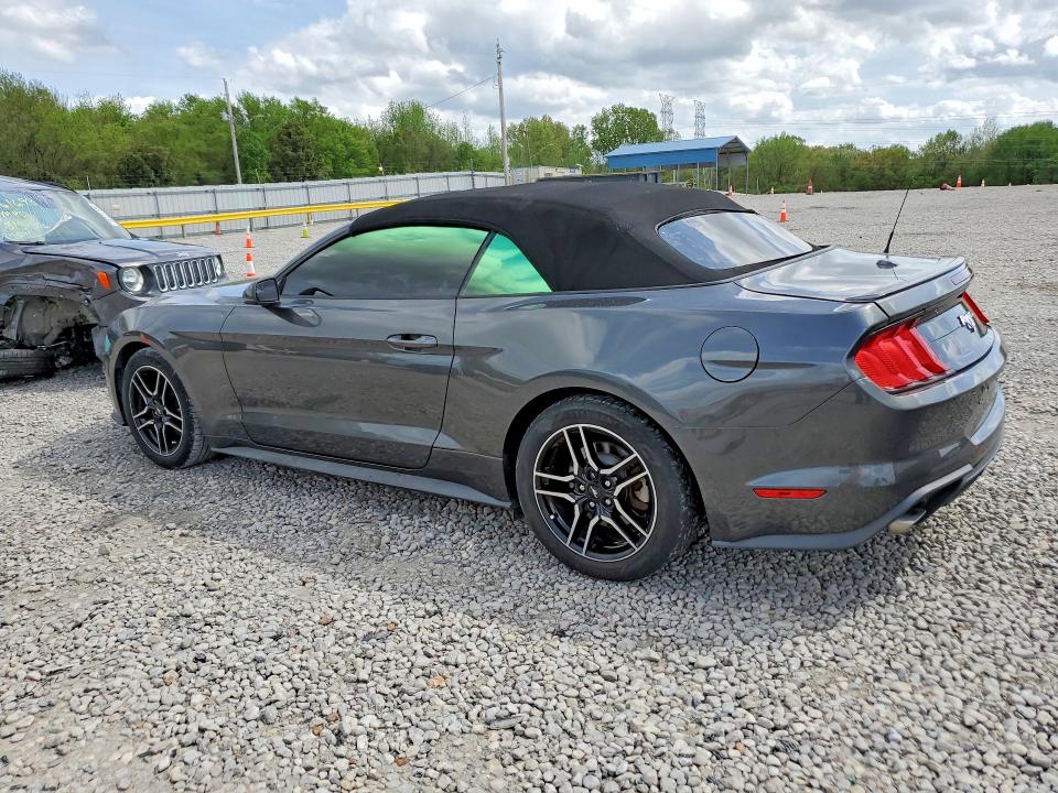 48922586 :رقم المزاد ، 1FATP8UHXK5149132 vin ، 2019 Ford Mustang مزاد بيع