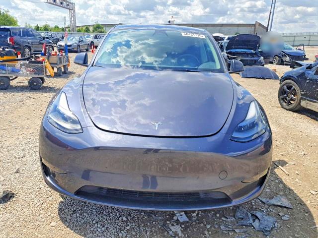 Продаж на аукціоні авто 2023 Tesla Model Y, vin: 7SAYGAEE4PF699950, номер лоту: 50431716