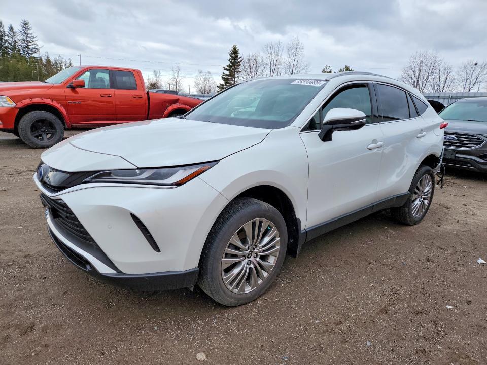 2023 Toyota Venza მანქანა იყიდება აუქციონზე, vin: JTEAAAAH6PJ142798, აუქციონის ნომერი: 48399906