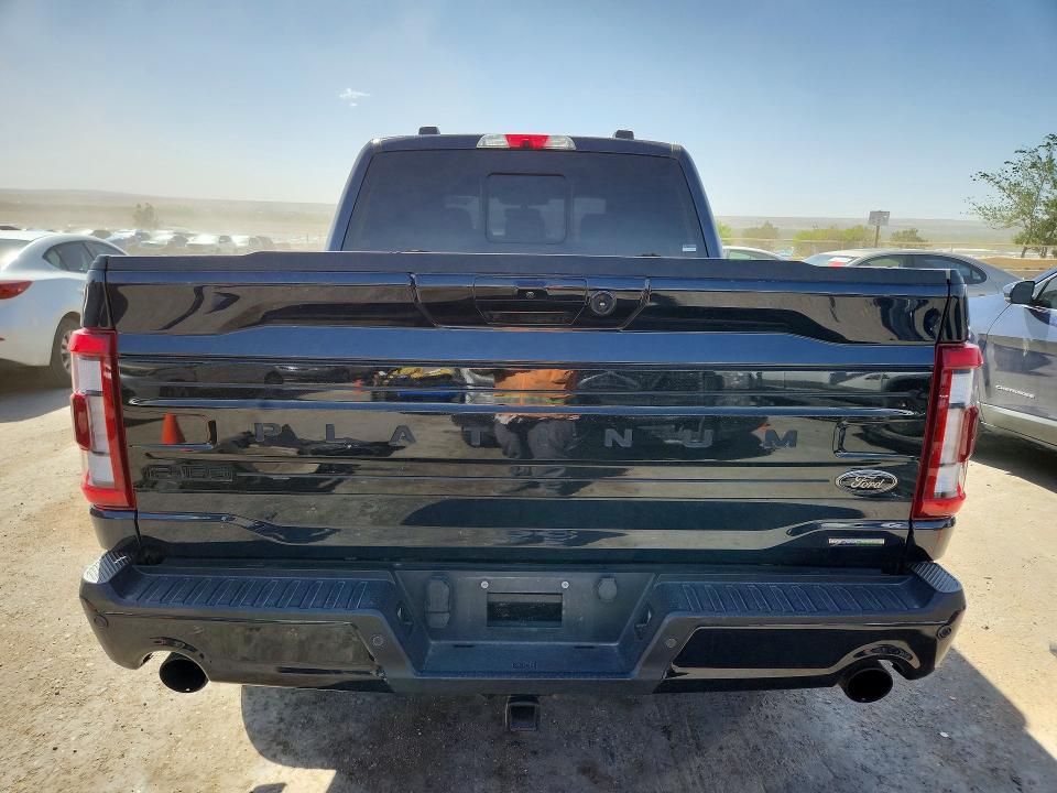 50349576 :رقم المزاد ، 1FTFW1E88PFA20162 vin ، 2023 Ford F150 مزاد بيع