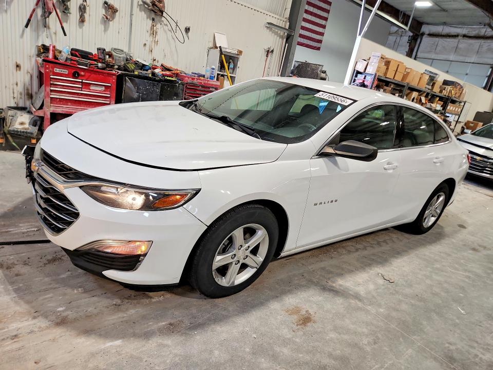 51109556 :رقم المزاد ، 1G1ZC5ST4KF195807 vin ، 2019 Chevrolet Malibu مزاد بيع