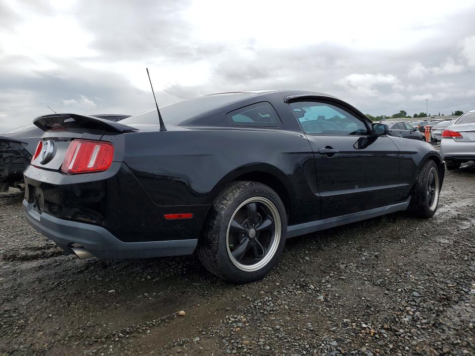 50802916 :رقم المزاد ، 1ZVBP8AN5A5100805 vin ، 2010 Ford Mustang مزاد بيع