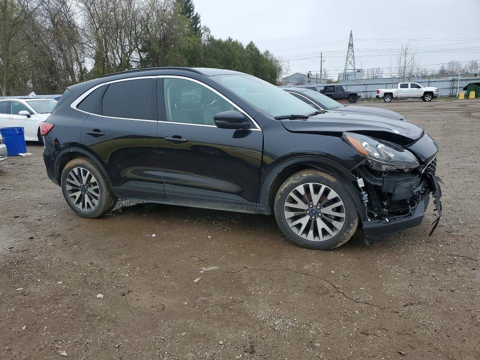 Auction sale of the 2020 Ford Escape, vin: 1FMCU9J90LUA00396, lot number: 48792666