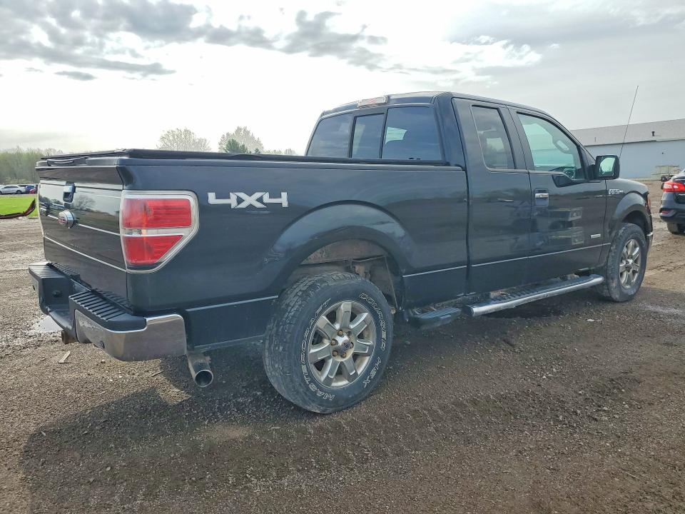 50122986 :رقم المزاد ، 1FTFX1ET6DFD99868 vin ، 2013 Ford F150 مزاد بيع