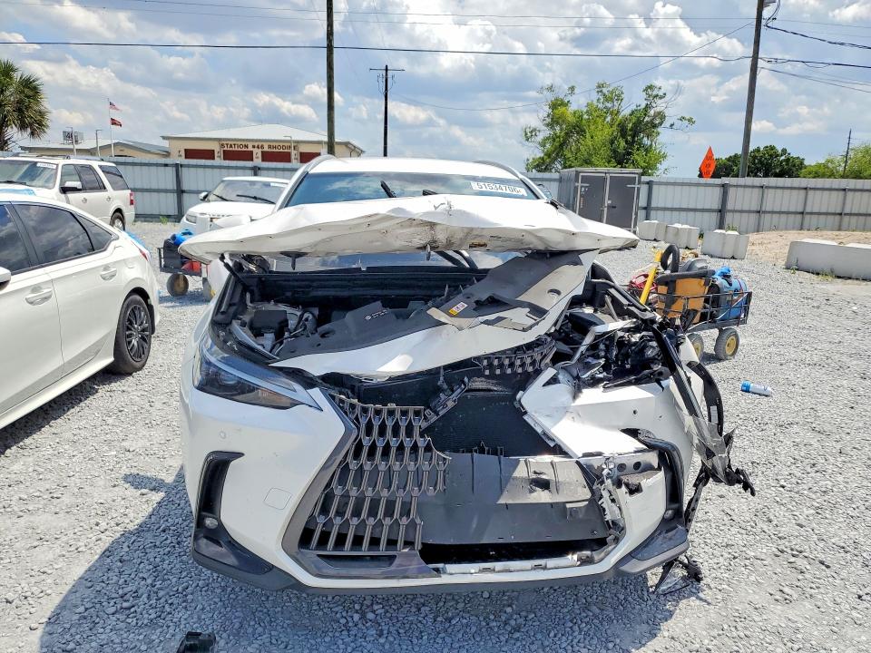 Aukcja sprzedaży 2025 Lexus Nx 250, vin: 2T2ADCAZ7SC018913, numer aukcji: 51534706