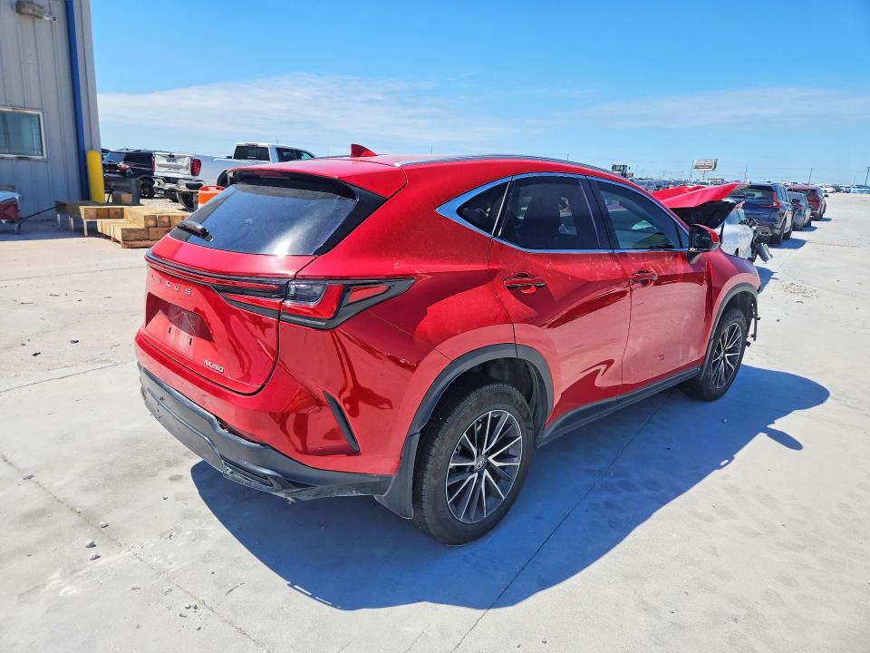 49074246 :رقم المزاد ، 2T2ADCAZ1PC005453 vin ، 2023 Lexus Nx 250 مزاد بيع