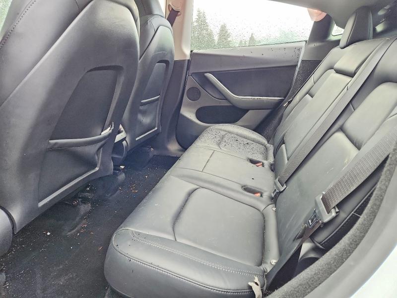 Продаж на аукціоні авто 2024 Tesla Model Y, vin: 7SAYGDEE4RF190459, номер лоту: 49838876
