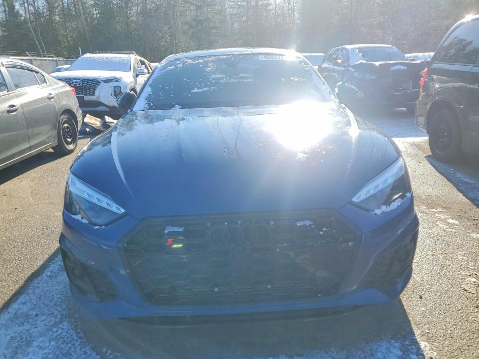 2025 Audi S5 მანქანა იყიდება აუქციონზე, vin: WAUB4CF54SA012485, აუქციონის ნომერი: 48817716