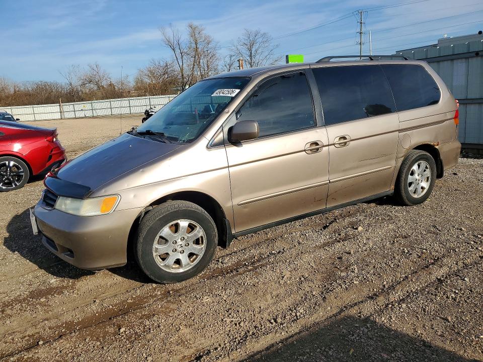 49042506 :رقم المزاد ، 5FNRL188X4B142460 vin ، 2004 Honda Odyssey مزاد بيع