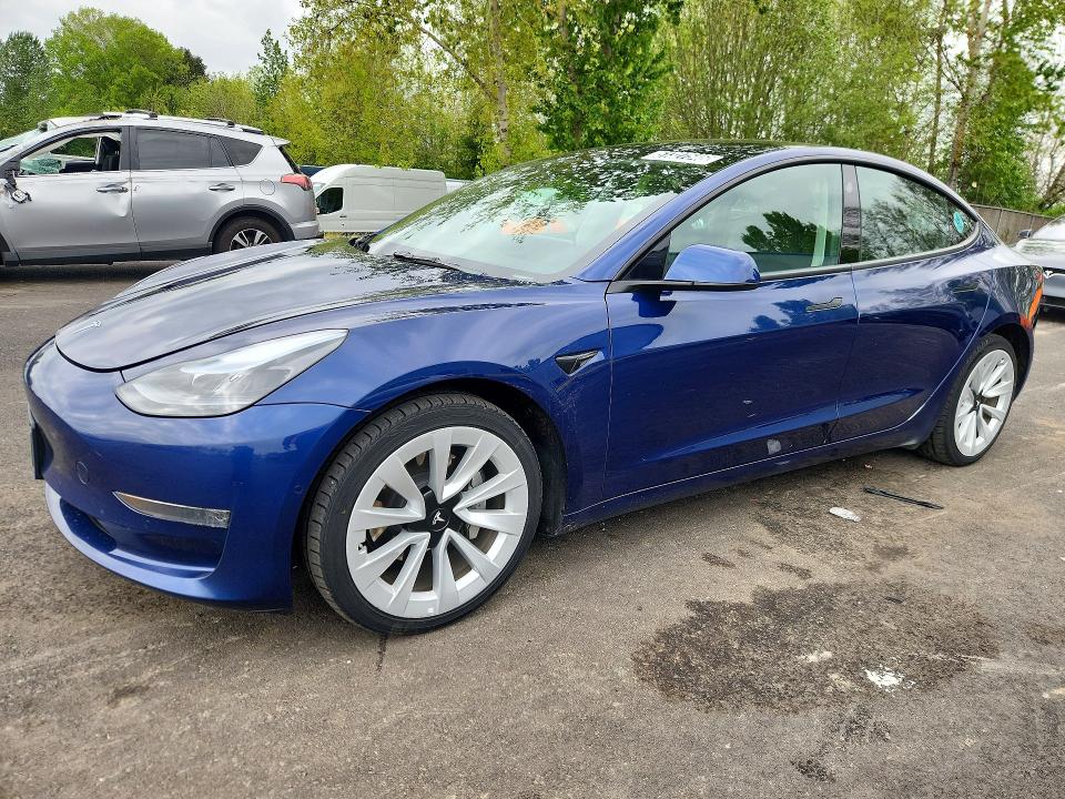 Продаж на аукціоні авто 2022 Tesla Model 3, vin: 5YJ3E1EA4NF369491, номер лоту: 51327546
