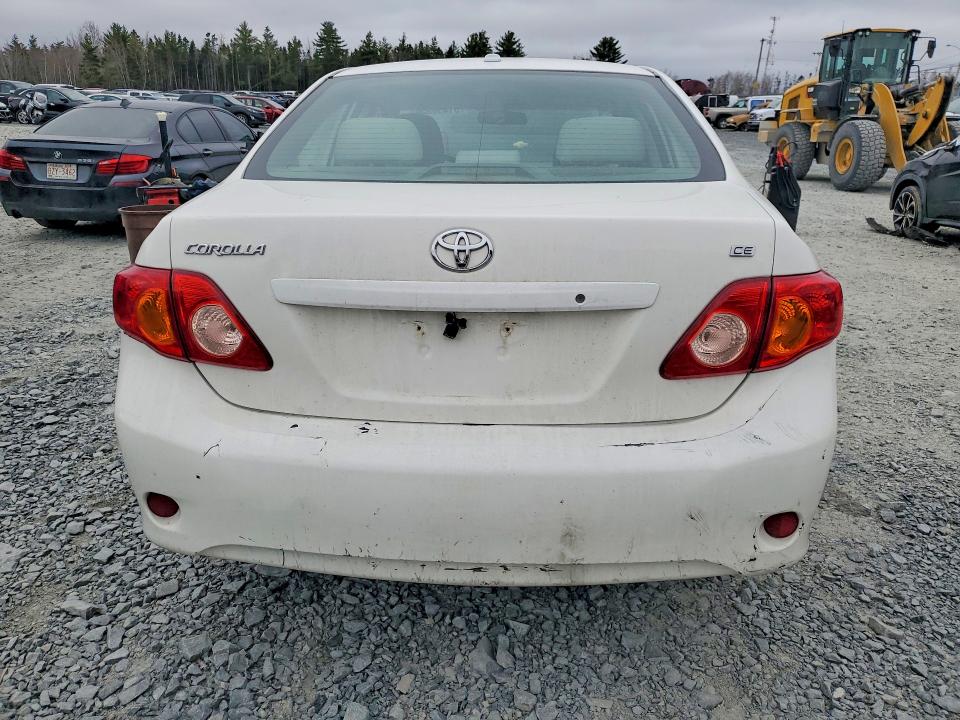 51456556 :رقم المزاد ، 2T1BU40EX9C022980 vin ، 2009 Toyota Corolla مزاد بيع