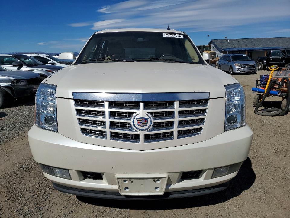 Продаж на аукціоні авто 2011 Cadillac Escalade, vin: 1GYS4HEF1BR100416, номер лоту: 49307276