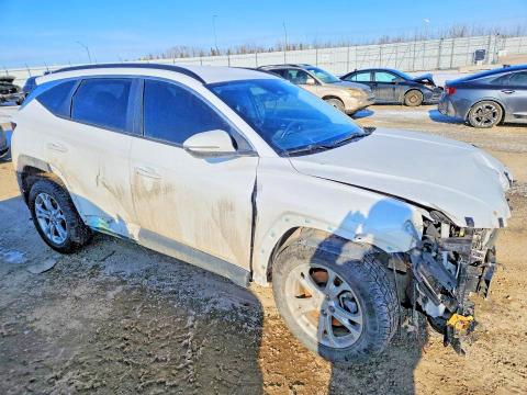 Продаж на аукціоні авто 2023 Hyundai Tucson, vin: KM8JBCAE9PU202571, номер лоту: 48249766