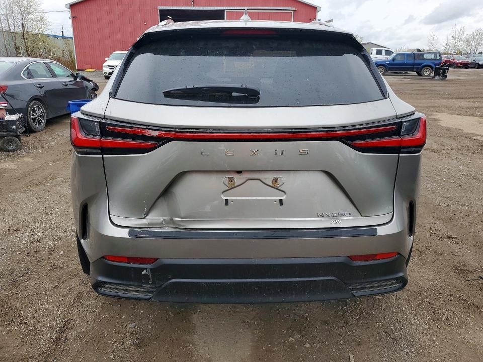 Aukcja sprzedaży 2023 Lexus Nx, vin: 2T2ADCEZ8PC002849, numer aukcji: 50801626