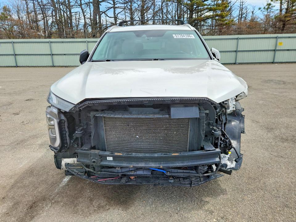 Продаж на аукціоні авто 2021 Hyundai Palisade, vin: KM8R3DHE6MU183324, номер лоту: 51784106
