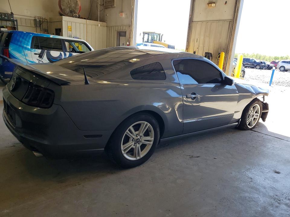 Продаж на аукціоні авто 2014 Ford Mustang, vin: 1ZVBP8AM9E5204081, номер лоту: 49575096