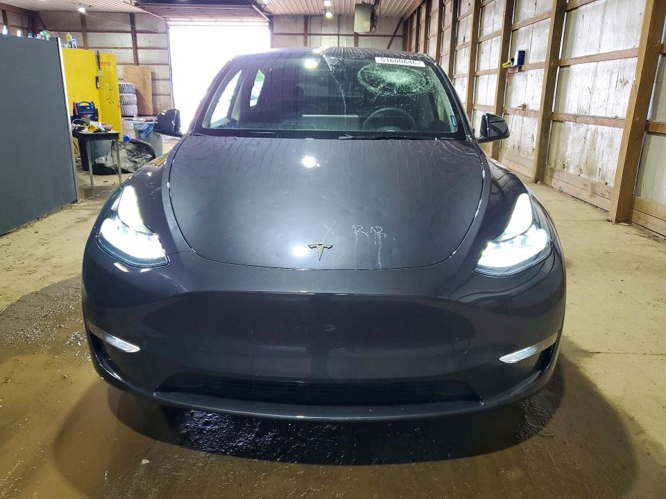 Продаж на аукціоні авто 2024 Tesla Model Y, vin: 7SAYGDEE3RA252267, номер лоту: 51600846