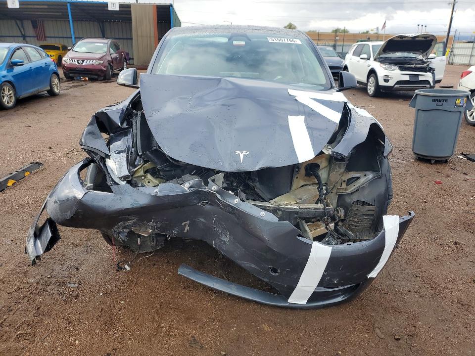 Продаж на аукціоні авто 2023 Tesla Model Y, vin: 7SAYGAEE3PF965006, номер лоту: 51507766