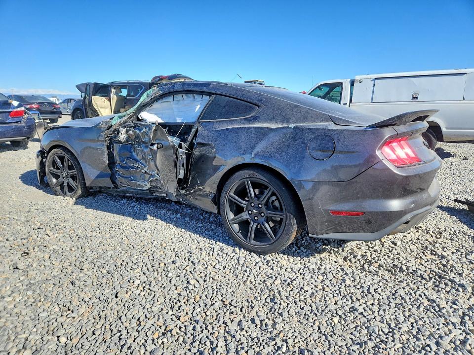 49948306 :رقم المزاد ، 1FA6P8TH7K5132707 vin ، 2019 Ford Mustang مزاد بيع