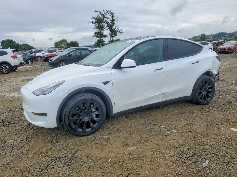 Aukcja sprzedaży 2021 Tesla Model Y, vin: 5YJYGDEEXMF153552, numer aukcji: 49023566