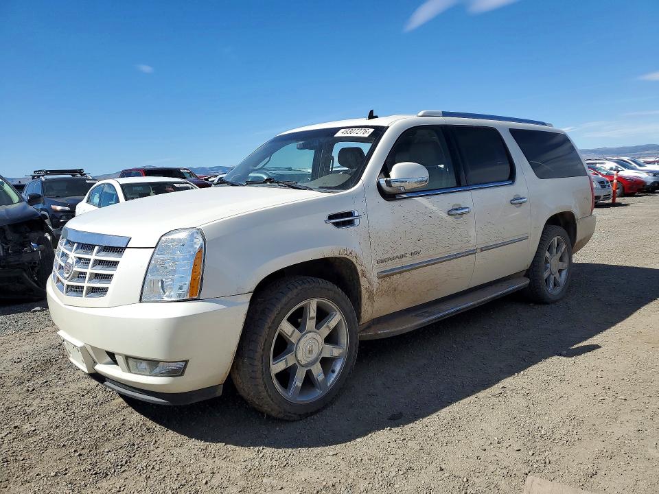 Auction sale of the 2011 Cadillac Escalade, vin: 1GYS4HEF1BR100416, lot number: 49307276