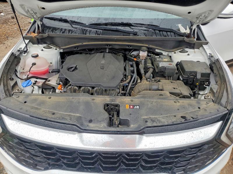 Продажа на аукционе авто 2025 Kia Sportage, vin: 5XYK43DFXSG263509, номер лота: 51509926