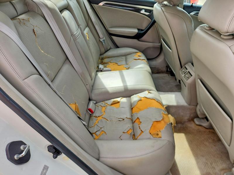 50236646 :رقم المزاد ، 19UUA66218A017195 vin ، 2008 Acura Tl مزاد بيع