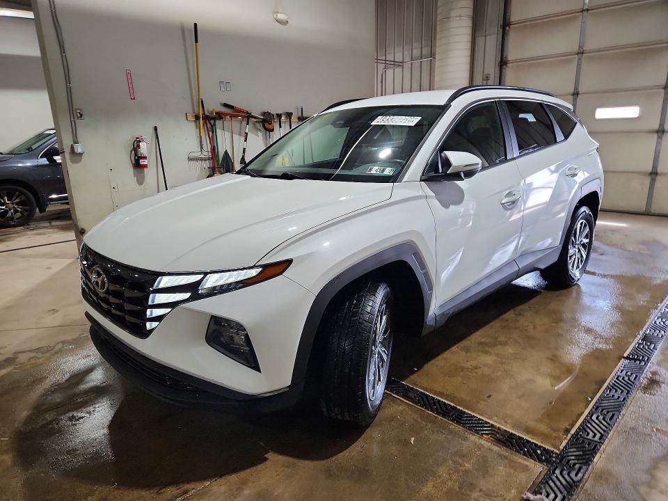 Auction sale of the 2022 Hyundai Tucson, vin: KM8JBCA16NU015590, lot number: 49339276