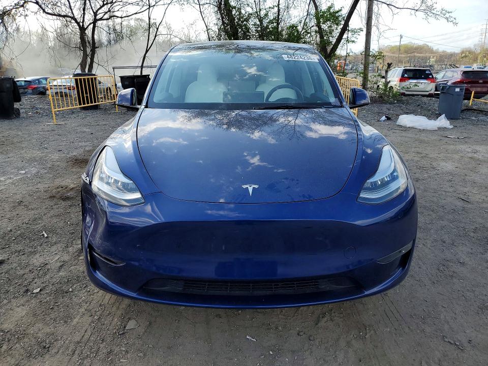 Продажа на аукционе авто 2023 Tesla Model Y, vin: 7SAYGDEE3PA135169, номер лота: 48224236