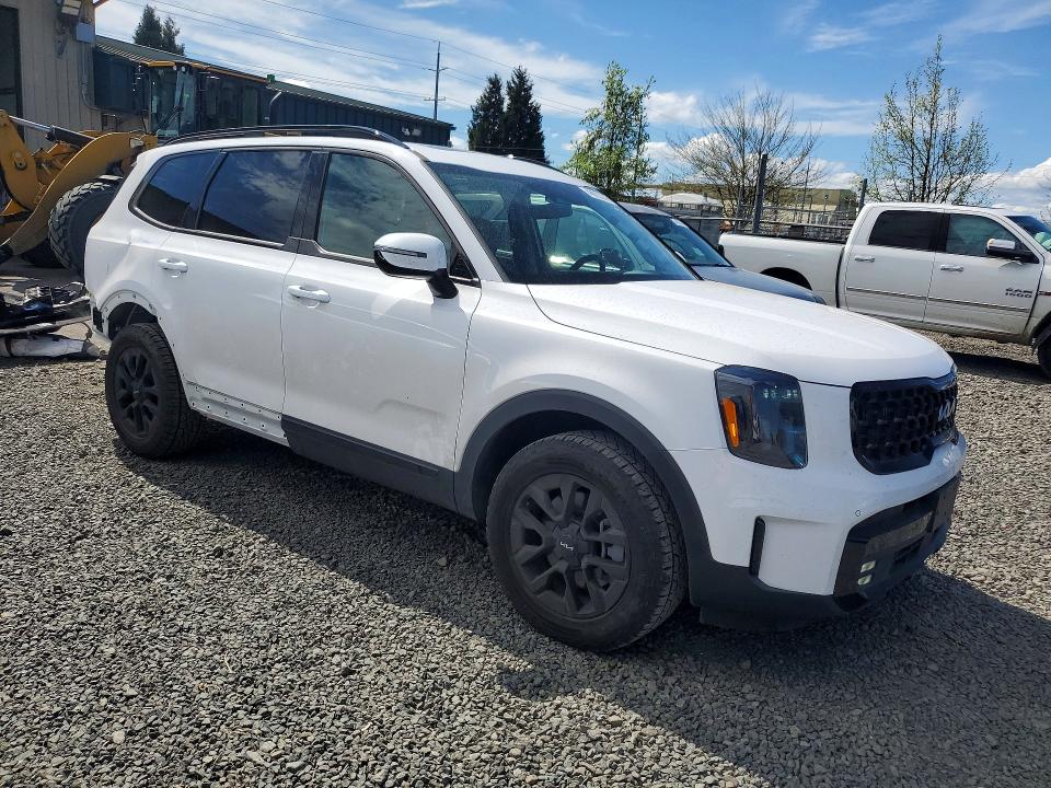 Продаж на аукціоні авто 2024 Kia Telluride, vin: 5XYP5DGC6RG533078, номер лоту: 48922246