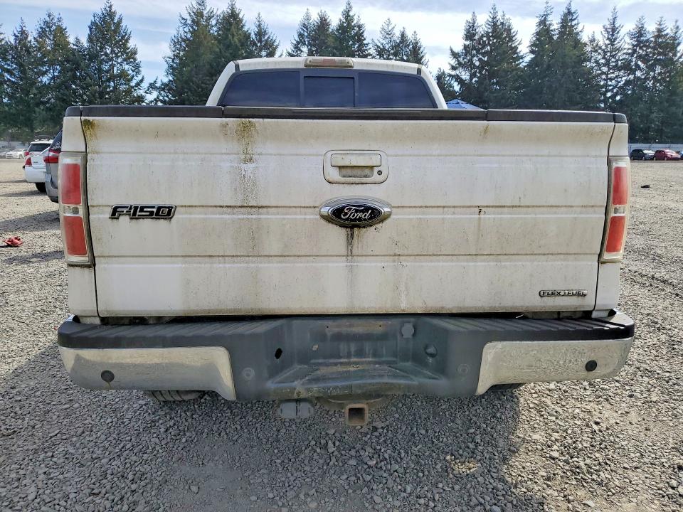 51500616 :رقم المزاد ، 1FTFW1EFXBFA50609 vin ، 2011 Ford F-150 مزاد بيع