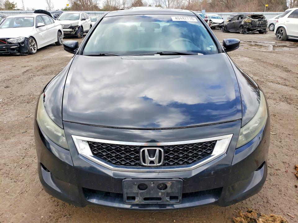 49442716 :رقم المزاد ، 1HGCS12838A801237 vin ، 2008 Honda Accord مزاد بيع