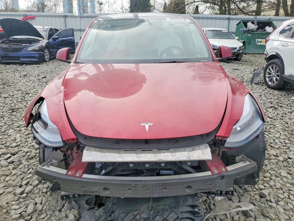 Продаж на аукціоні авто 2025 Tesla Model Y, vin: 7SAYGDEE6SA365359, номер лоту: 49326456