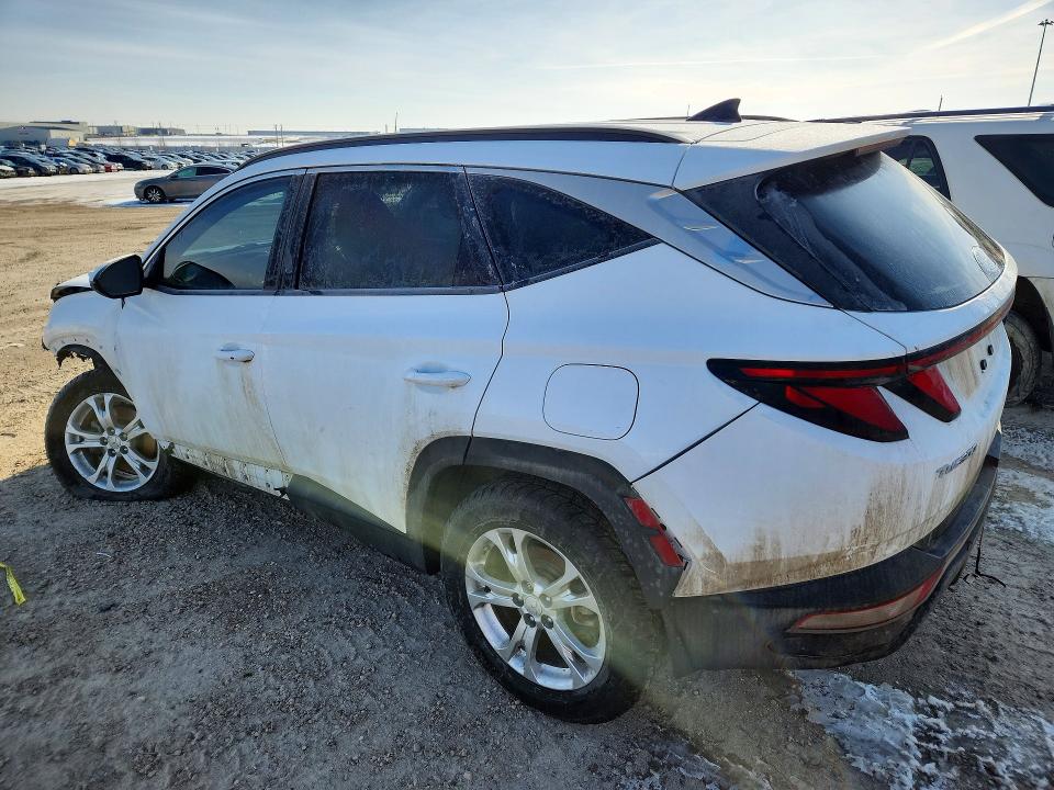 Продаж на аукціоні авто 2023 Hyundai Tucson, vin: KM8JBCAE9PU202571, номер лоту: 48249766