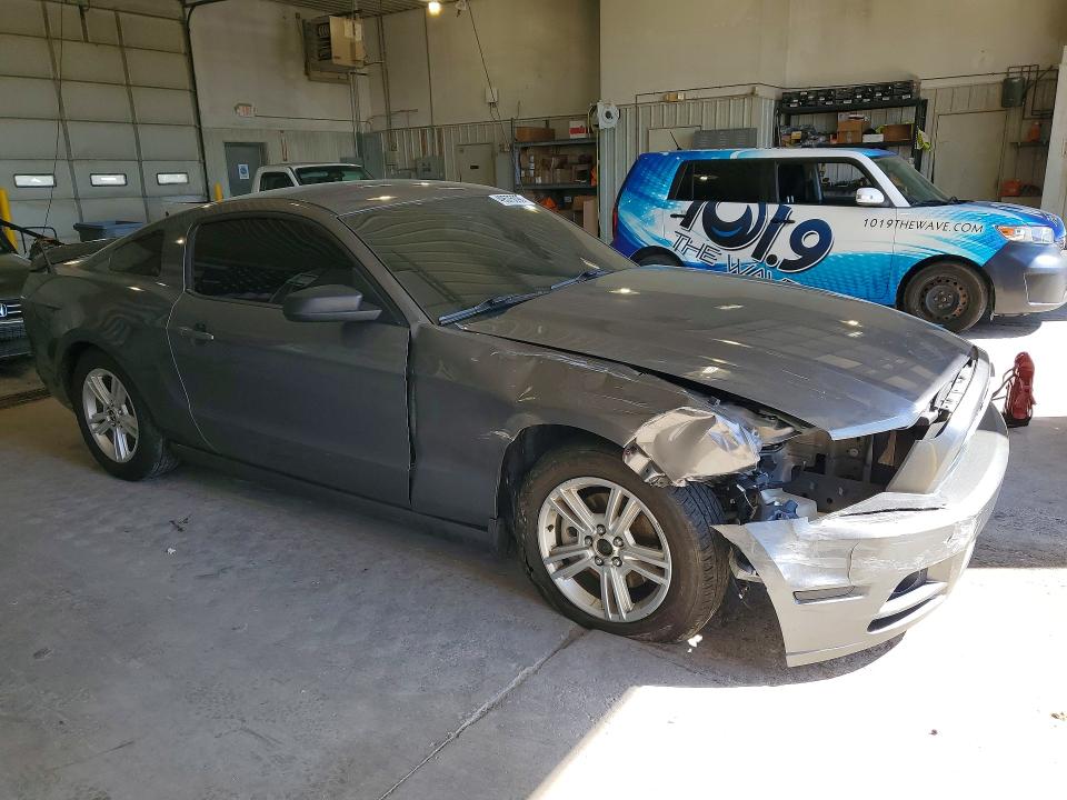 Продаж на аукціоні авто 2014 Ford Mustang, vin: 1ZVBP8AM9E5204081, номер лоту: 49575096
