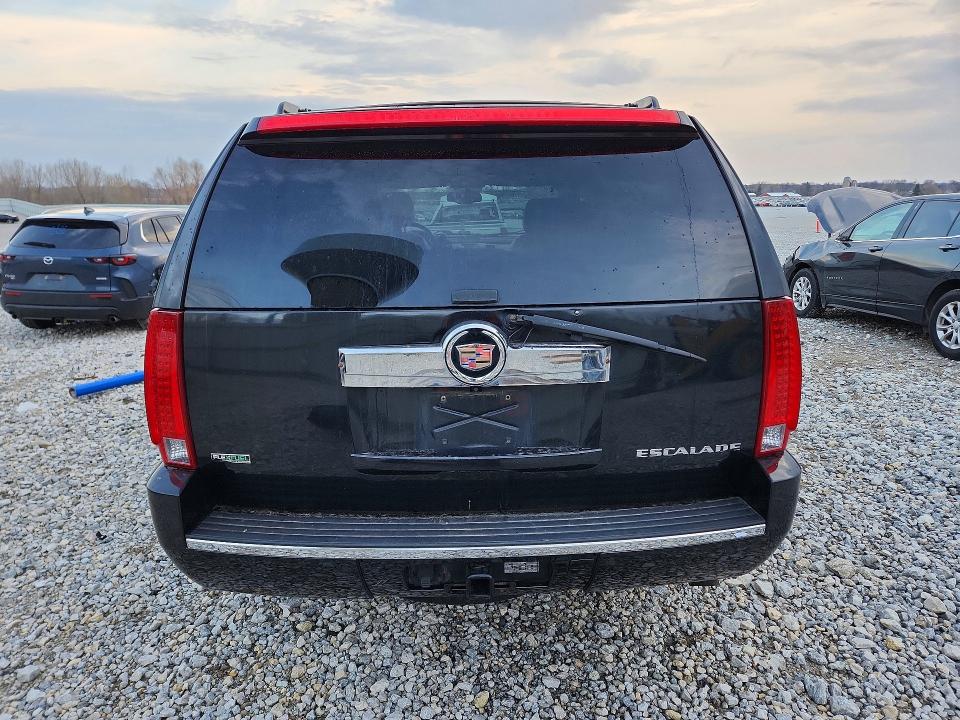Продаж на аукціоні авто 2010 Cadillac Escalade, vin: 1GYUKCEF4AR194436, номер лоту: 49485956