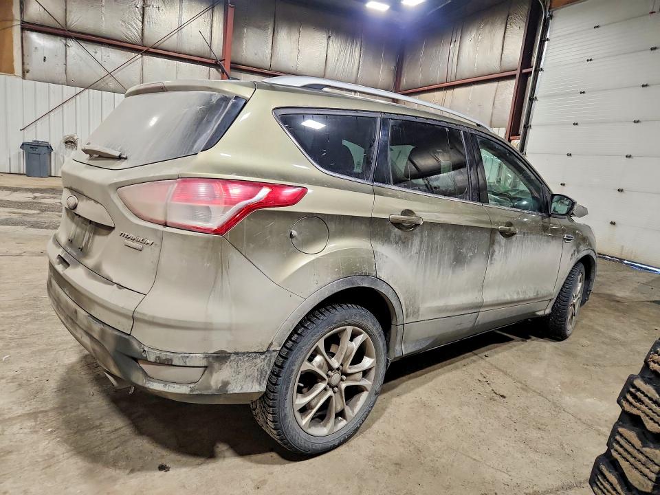 Auction sale of the 2014 Ford Escape, vin: 1FMCU9J93EUA39972, lot number: 49010156