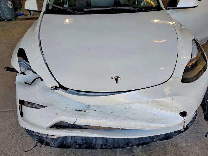Продаж на аукціоні авто 2024 Tesla Model Y, vin: 7SAYGDEF8RA282597, номер лоту: 48569636
