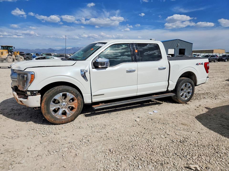 Продажа на аукционе авто 2023 Ford F150, vin: 1FTFW1ED0PFB55343, номер лота: 50450776