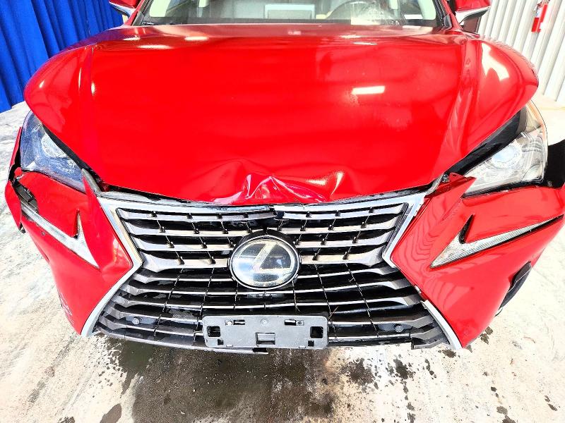 49989436 :رقم المزاد ، JTJDARDZ2M5028724 vin ، 2021 Lexus Nx 300 مزاد بيع