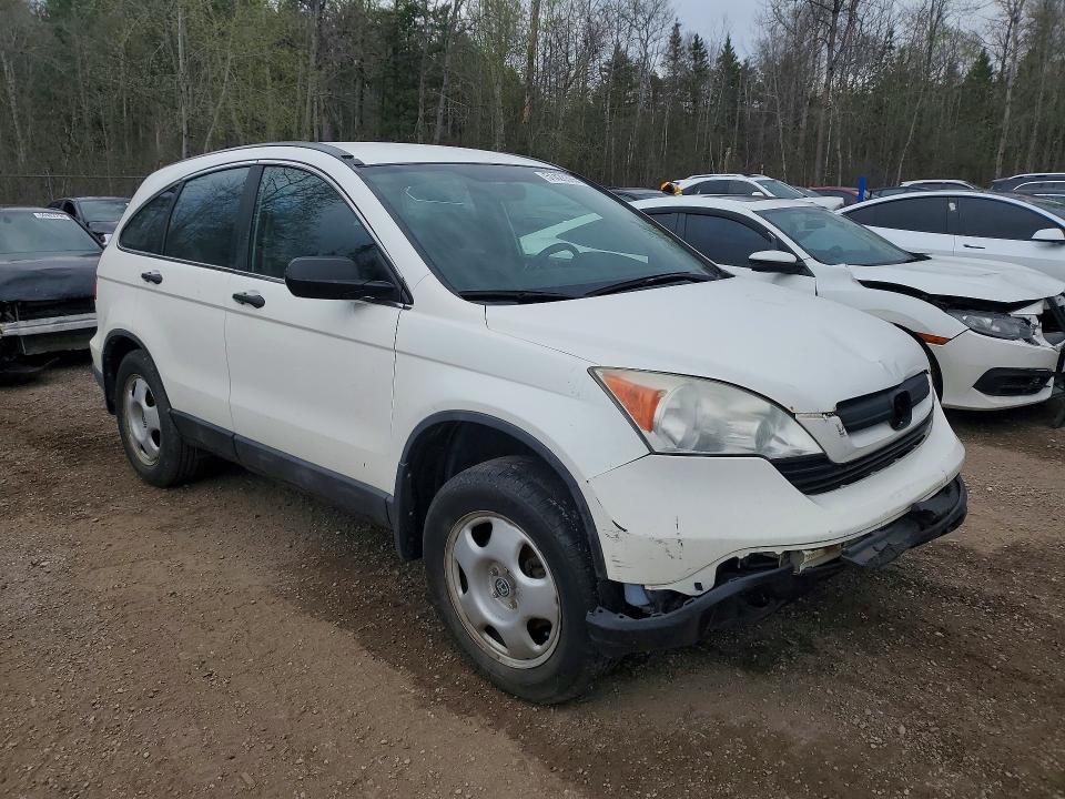 Продажа на аукционе авто 2008 Honda Cr-v, vin: 5J6RE48398L820256, номер лота: 51428366