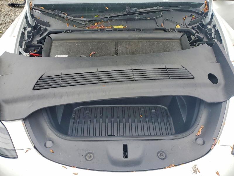 Продаж на аукціоні авто 2023 Tesla Model Y, vin: 7SAYGDEE1PF804249, номер лоту: 49501426