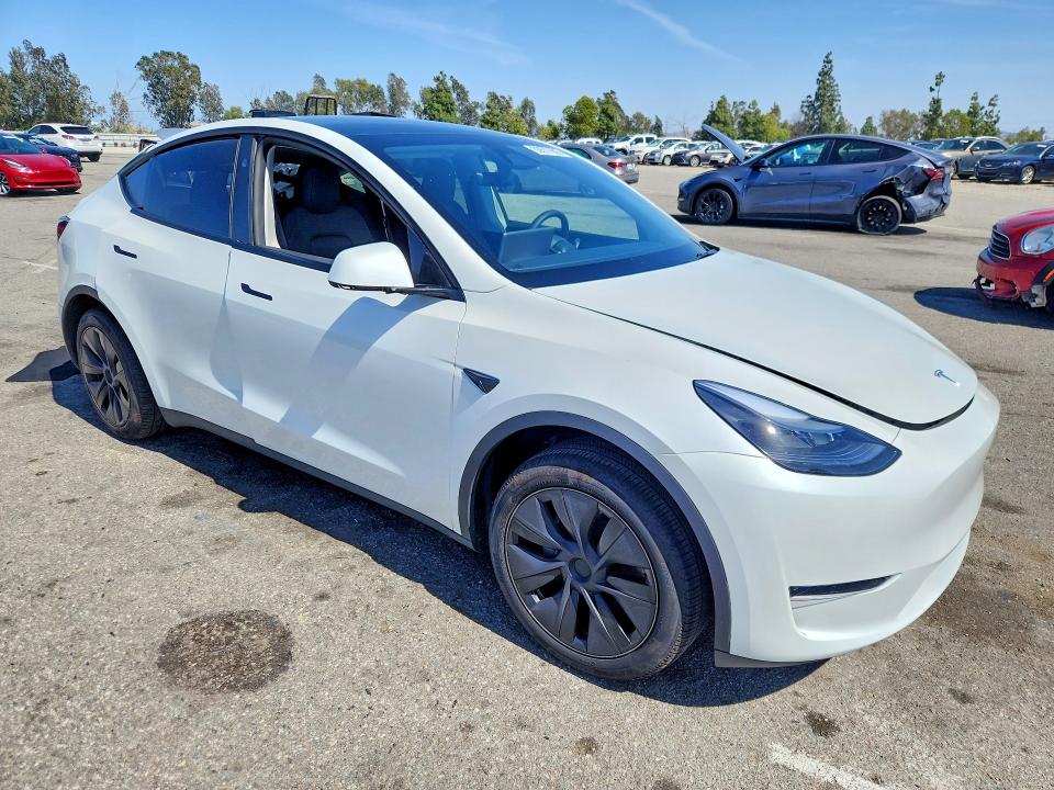 Продаж на аукціоні авто 2025 Tesla Model Y, vin: 7SAYGDED2SF248453, номер лоту: 50677666