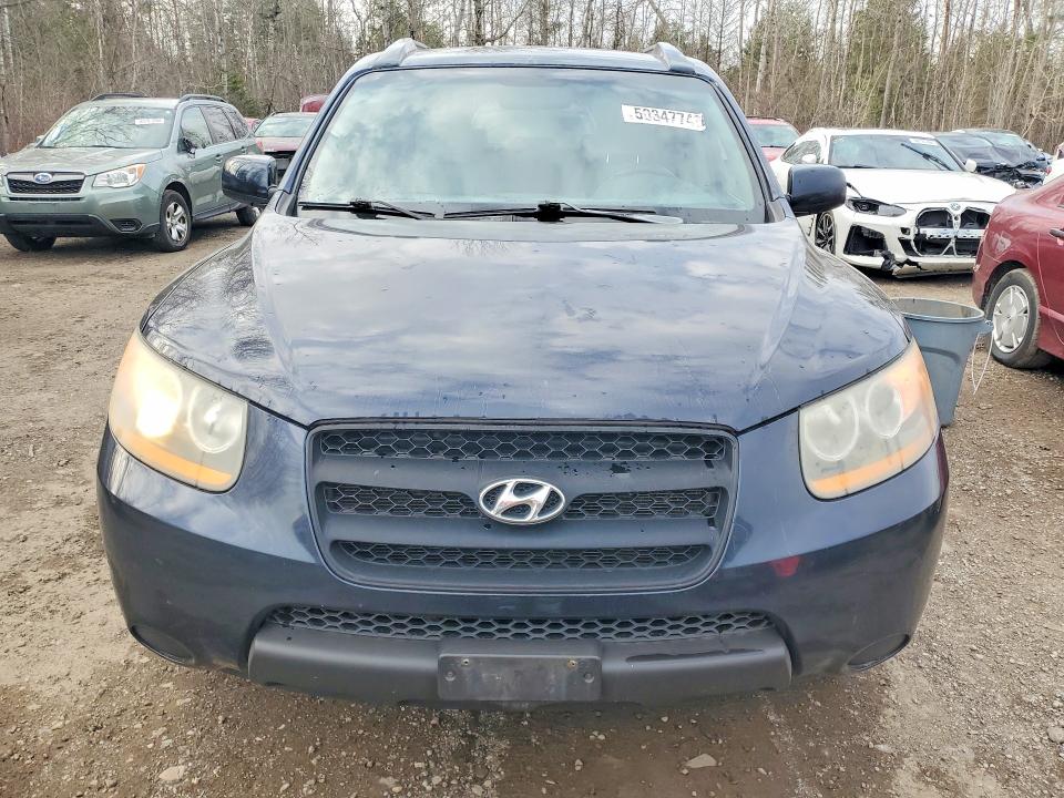 Aukcja sprzedaży 2009 Hyundai Santa Fe, vin: 5NMSG13D69H233998, numer aukcji: 50347746