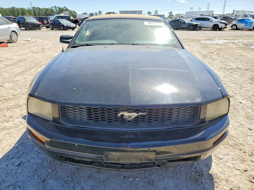 48737716 :رقم المزاد ، 1ZVFT84N655194529 vin ، 2005 Ford Mustang مزاد بيع