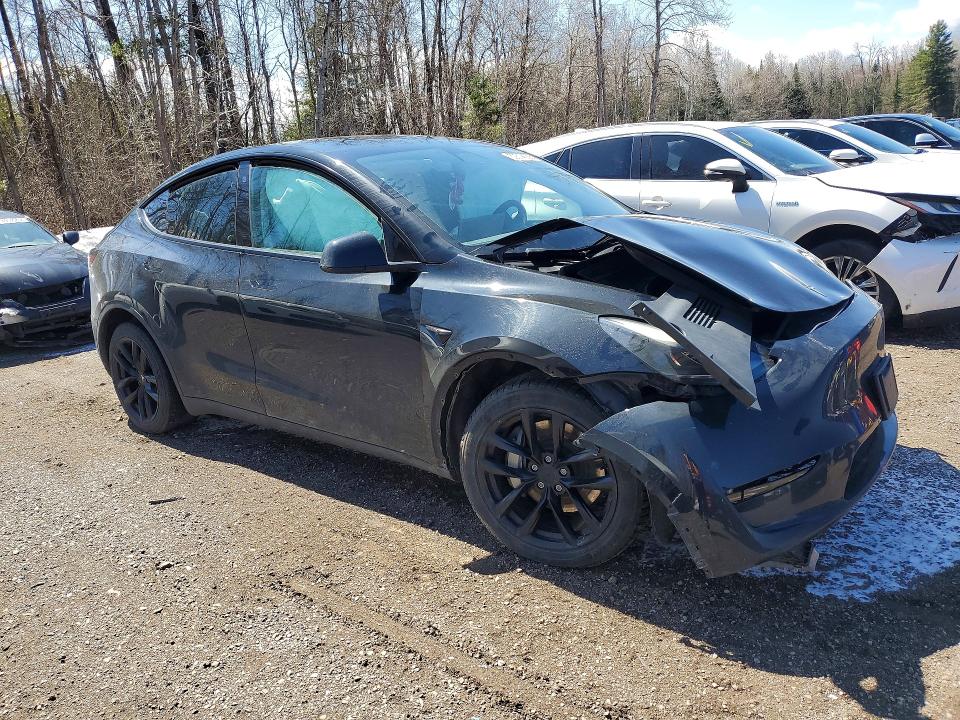 Aukcja sprzedaży 2023 Tesla Model Y, vin: LRWYGDEEXPC266657, numer aukcji: 50514036
